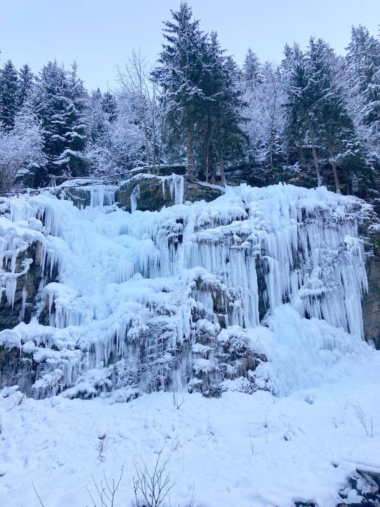 La Ferme Du Praz Hotel เลกงตามีน-มงฌัว ภายนอก รูปภาพ