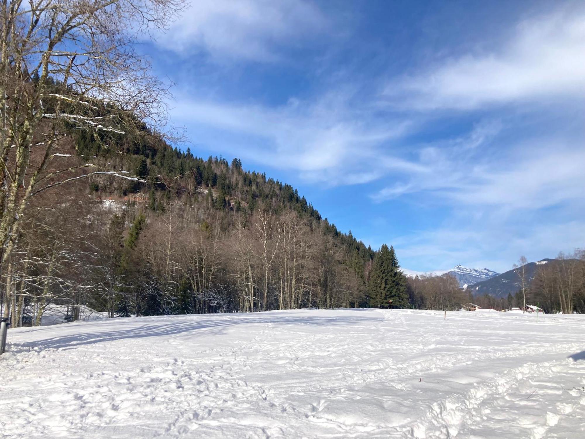 La Ferme Du Praz Hotel เลกงตามีน-มงฌัว ภายนอก รูปภาพ