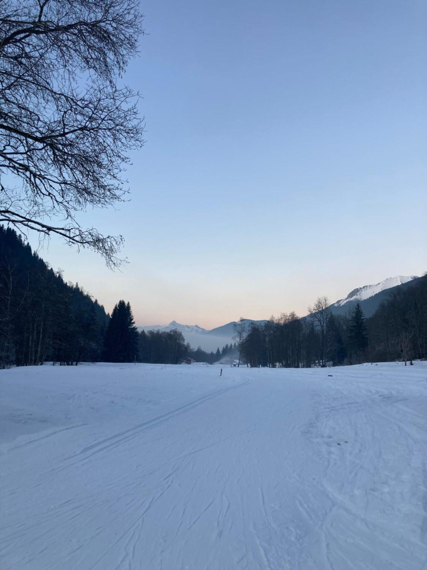 La Ferme Du Praz Hotel เลกงตามีน-มงฌัว ภายนอก รูปภาพ